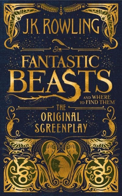harry-potter-fantastic-beasts-and-where-to-find-them-gift-idea-for-tween-boy