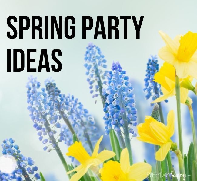 春天聚会的想法——花——水仙花